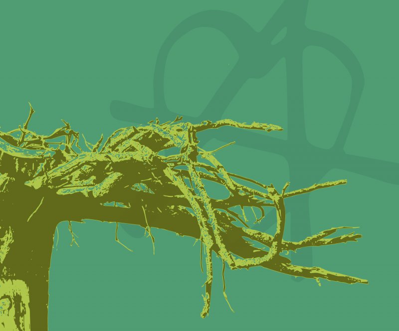 Standard Ticket - Klangtherapie XXI