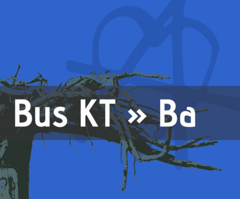 Rückfahrt nach Bamberg - SO, 15:00 Uhr